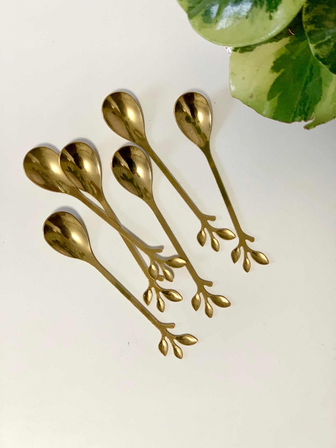 Set of six polished brass spoons with leaf-shaped ends arranged on white surface near green plant leaves