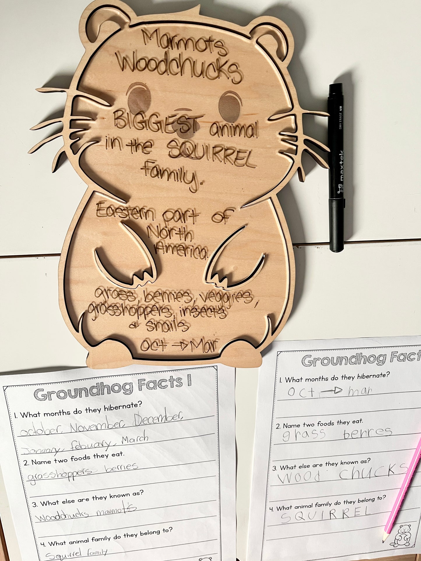 Laser Cut Groundhog Tray with Dry Erase Insert