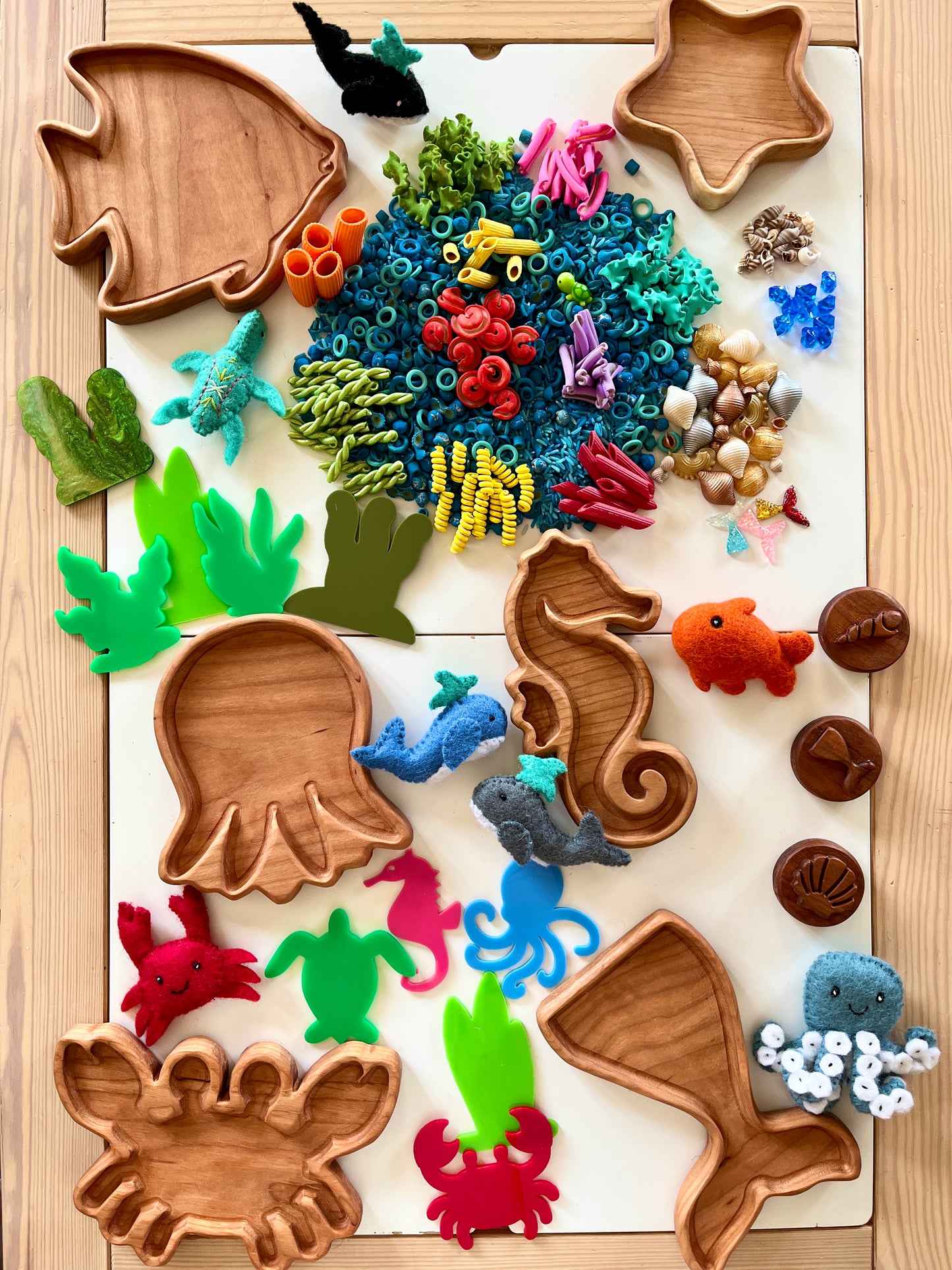Coral Reef Under the Sea Fun Filler Sensory Kit