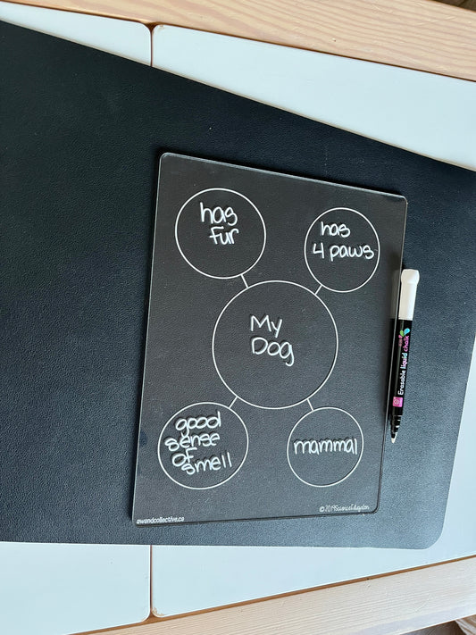 Bubble Map Mind Map Graphic Organizer Clear Dry Erase Acrylic Tracing Board; can also fit as a Flisat Insert