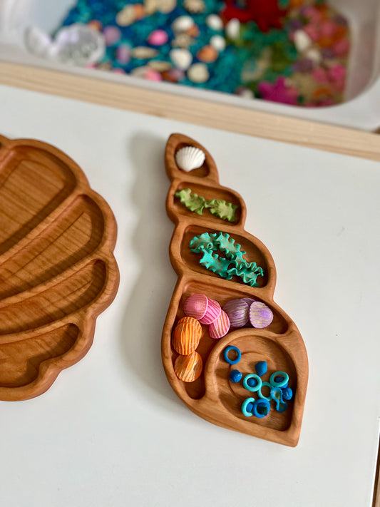 Conch Shell Plate / Sensory Tray