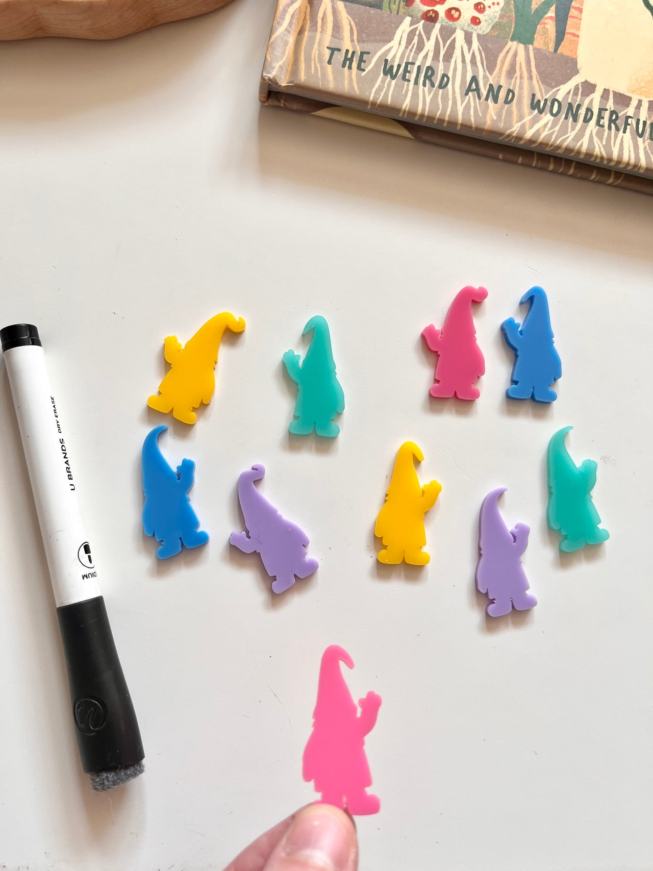Little Dry Erasables - Mini Gnomes (10)