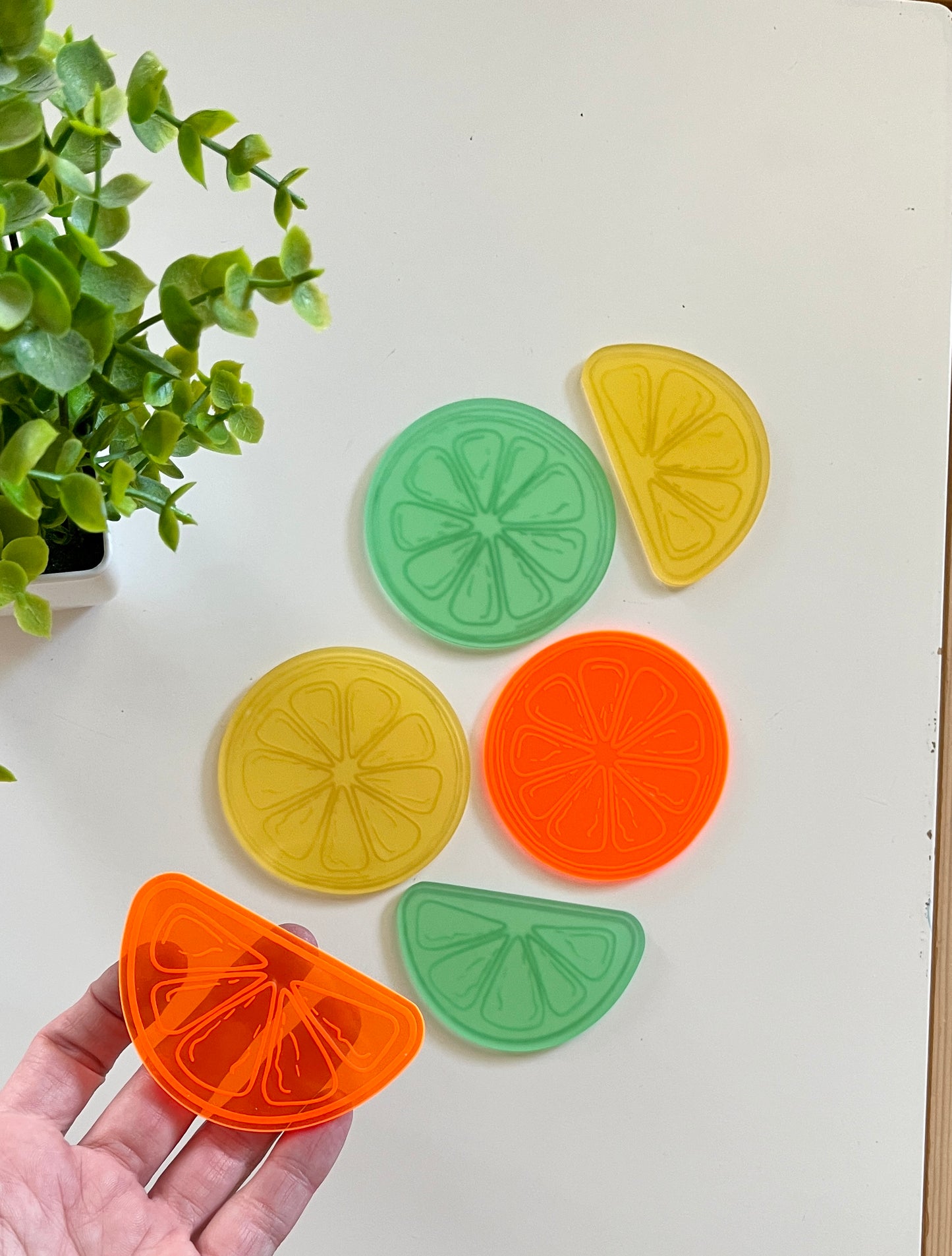 Little Dry Erasables — Set of 6 Citrus Fruit Slices