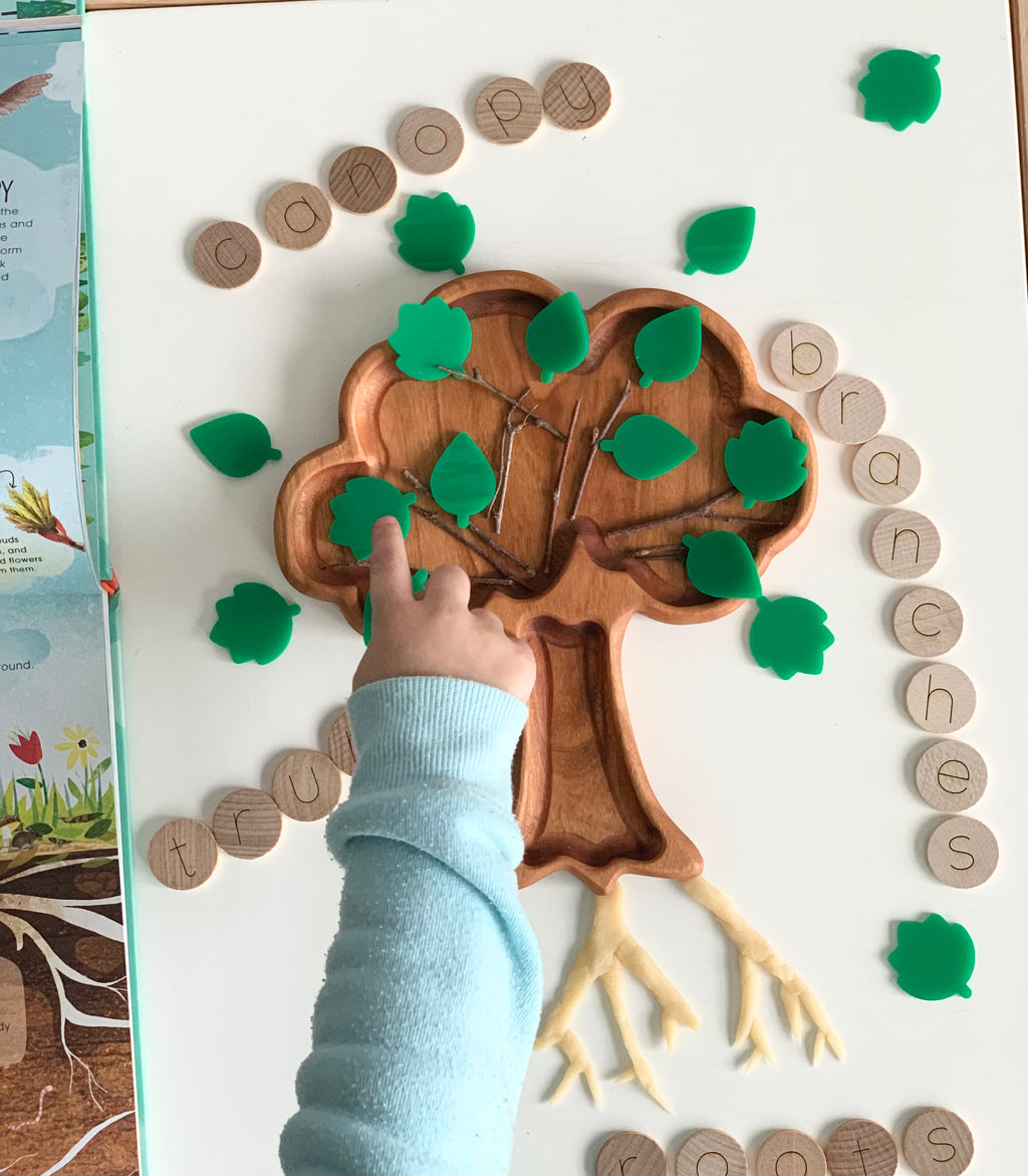 Child’s hand placing green leaf-shaped tokens on a wooden tree tray surrounded by wooden letter discs spelling tree, roots, and branches