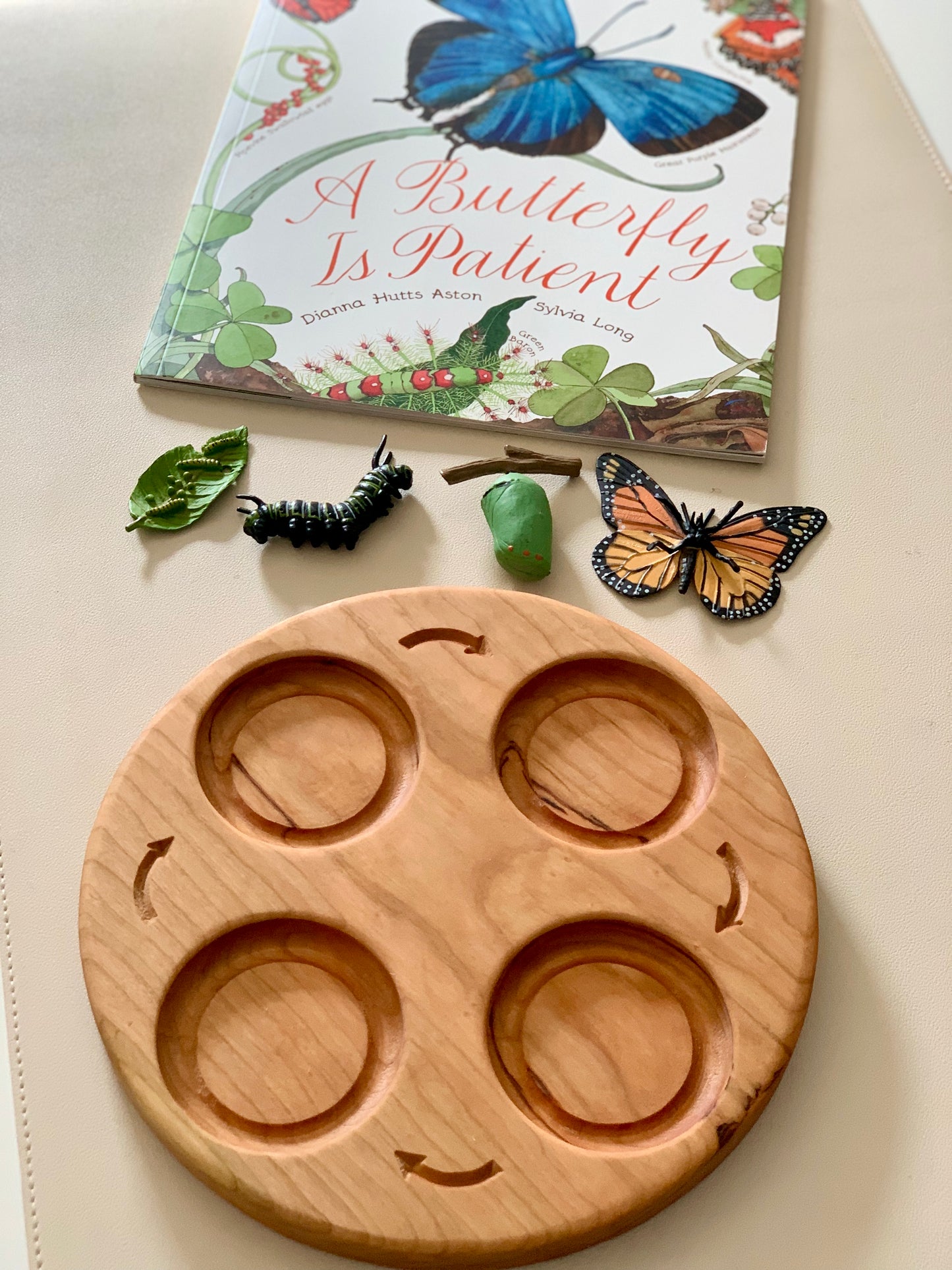 Life Cycle Sensory Trays 4 or 5 Part