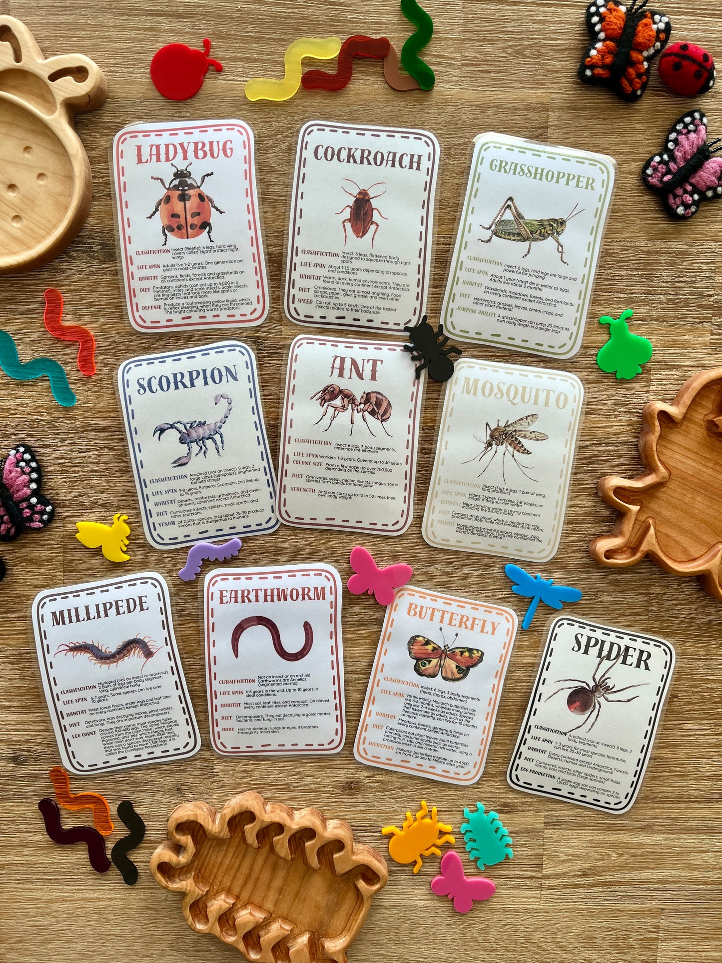 Array of illustrated insect and arachnid flash cards laid on a wooden surface with colorful plastic bug figurines and wooden trays, Digital Download | Little Crawlers Informational Flash Cards | handcrafted homeschool education resources
