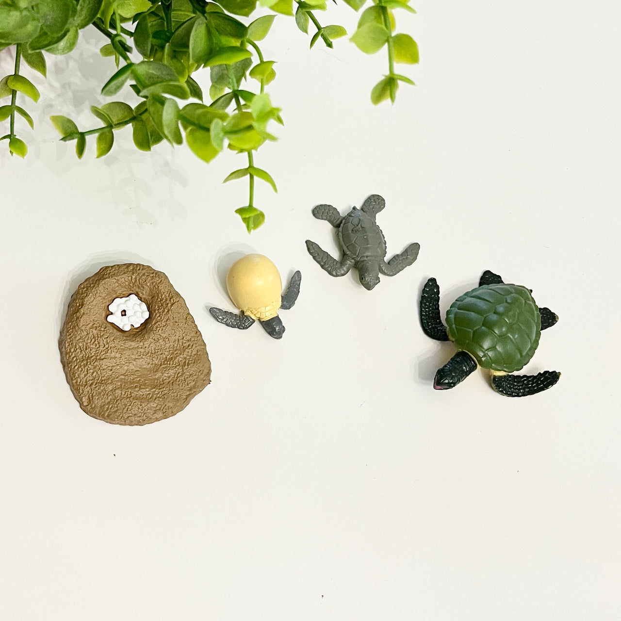 Four small turtle figurines in different stages of development beside a textured brown rock with white detail on a white surface
