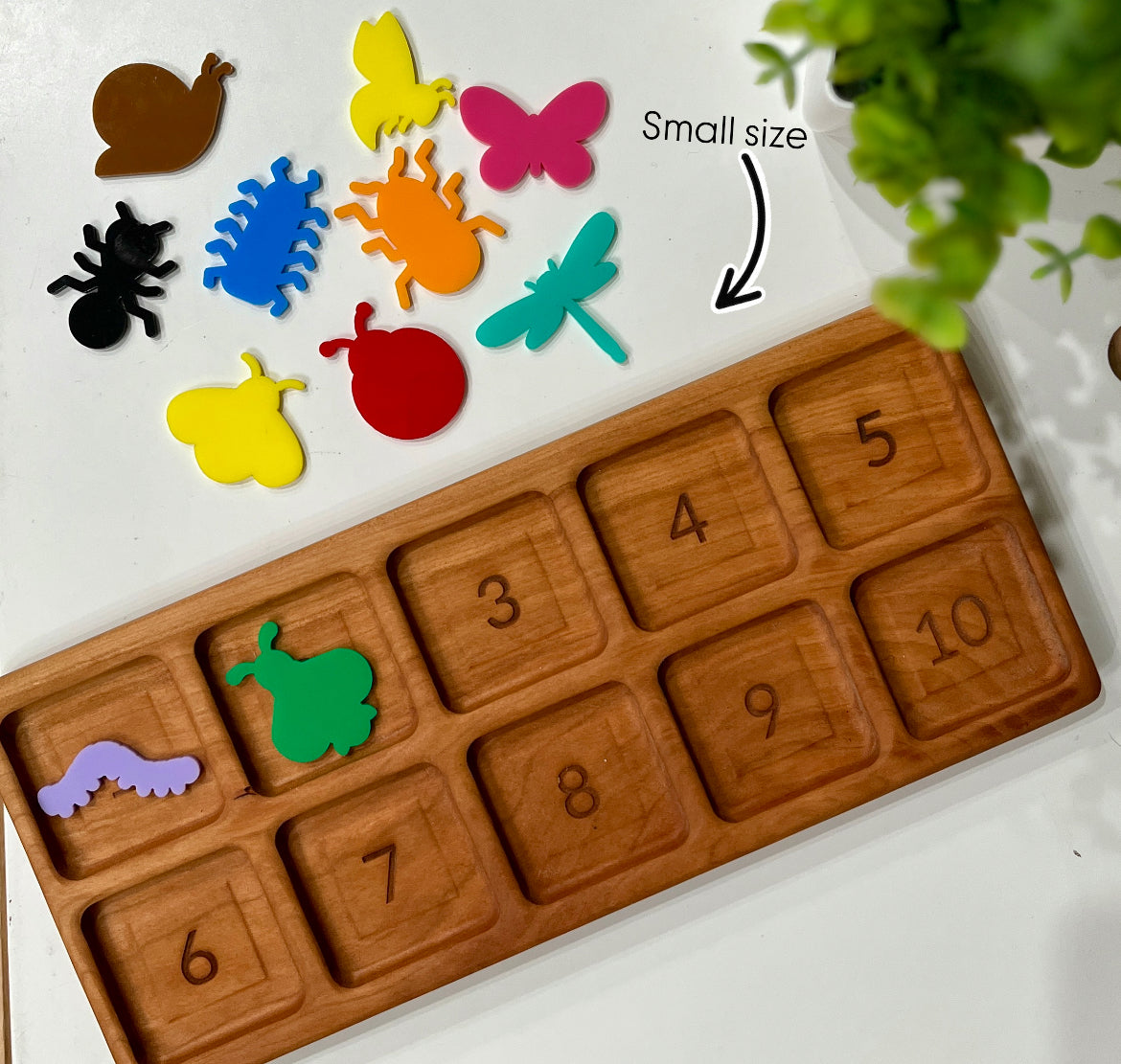 Little Dry Erasables - Bugs - 2 Sizes Available