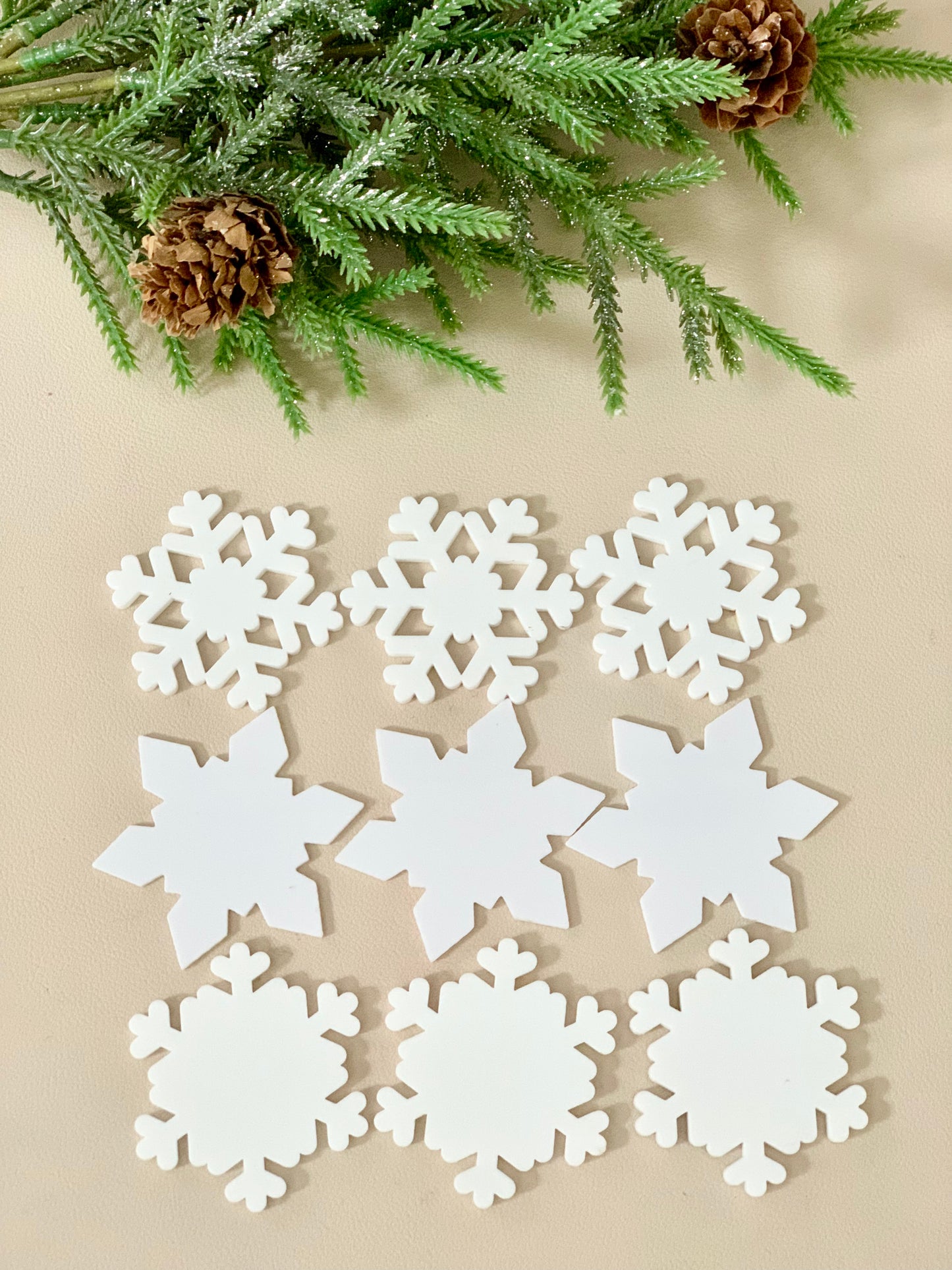 Little Dry Erasables - Snowflakes - Set of 6 - Glitter Silver also available