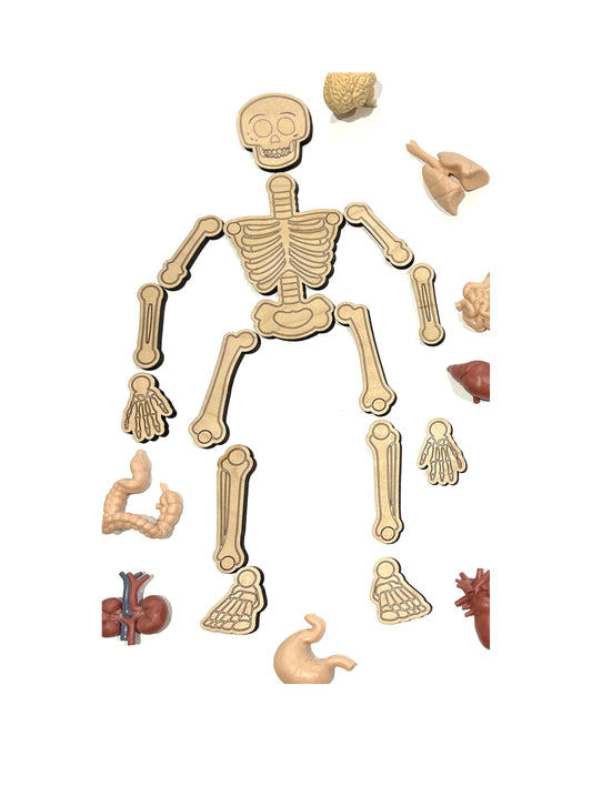 Wooden Build a Skeleton Puzzle / Bones Loose Parts