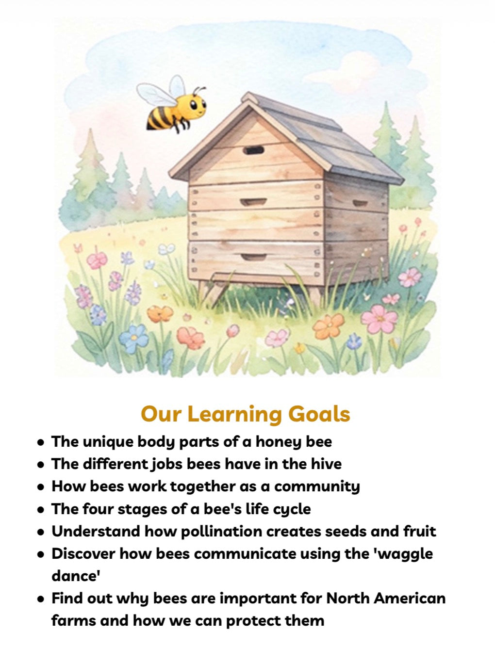 Digital Download | Bees Unit Study