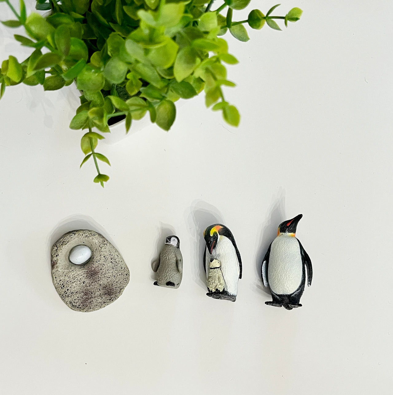 Set of four small penguin-themed figurines including an egg, chick, parent with chick, and adult on a white surface