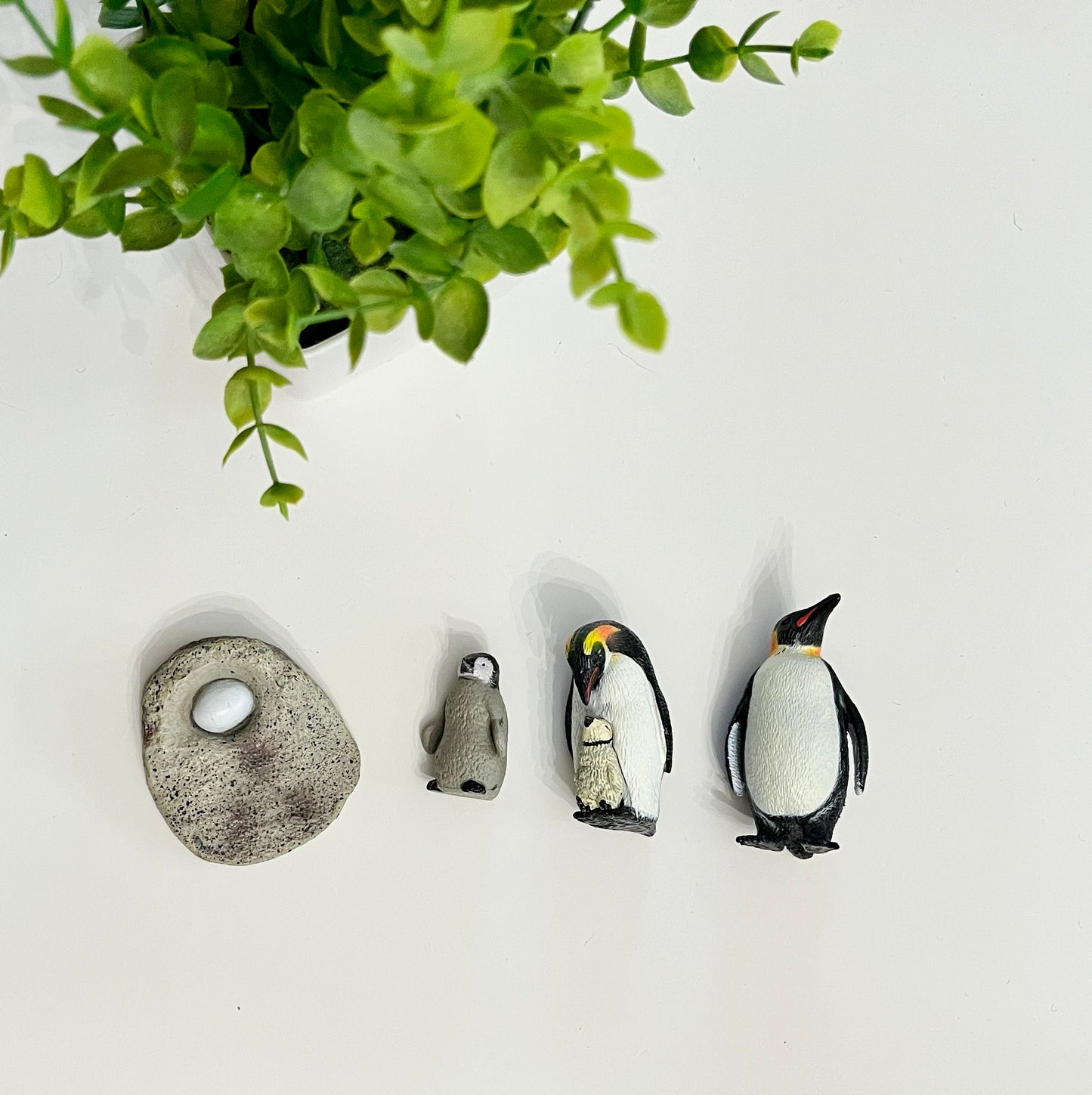 Penguin Life Cycle Figurines