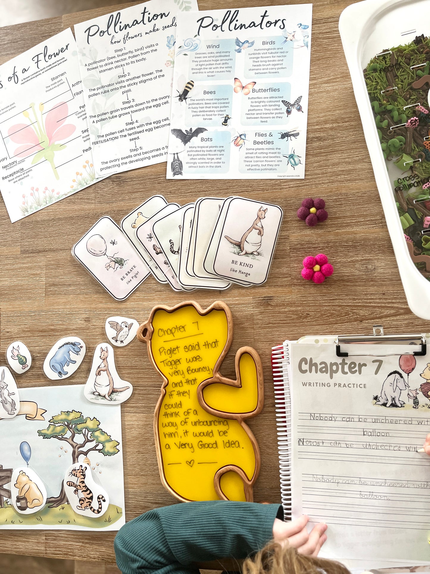 Digital Download or Print & Bound - The House at Pooh Corner Book Study