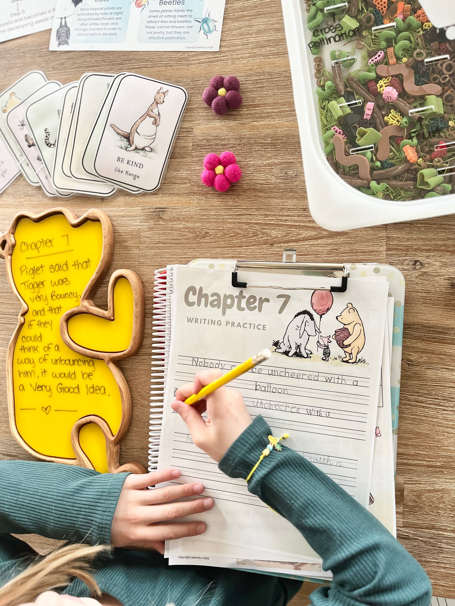 Digital Download or Print & Bound - The House at Pooh Corner Book Study
