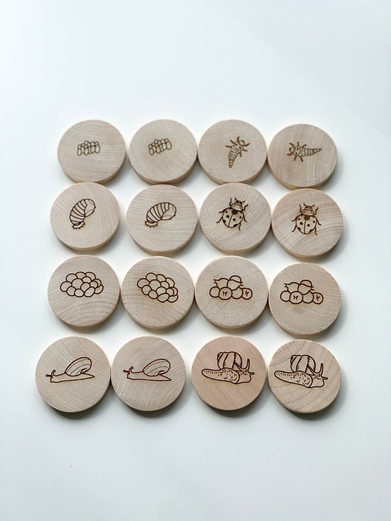 Wooden memory game pieces engraved with ladybug and snail life cycle stages on light background