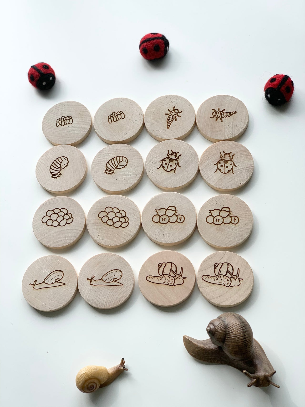 Wooden memory game pieces with ladybug and snail life cycle illustrations surrounded by small ladybug toys on white background