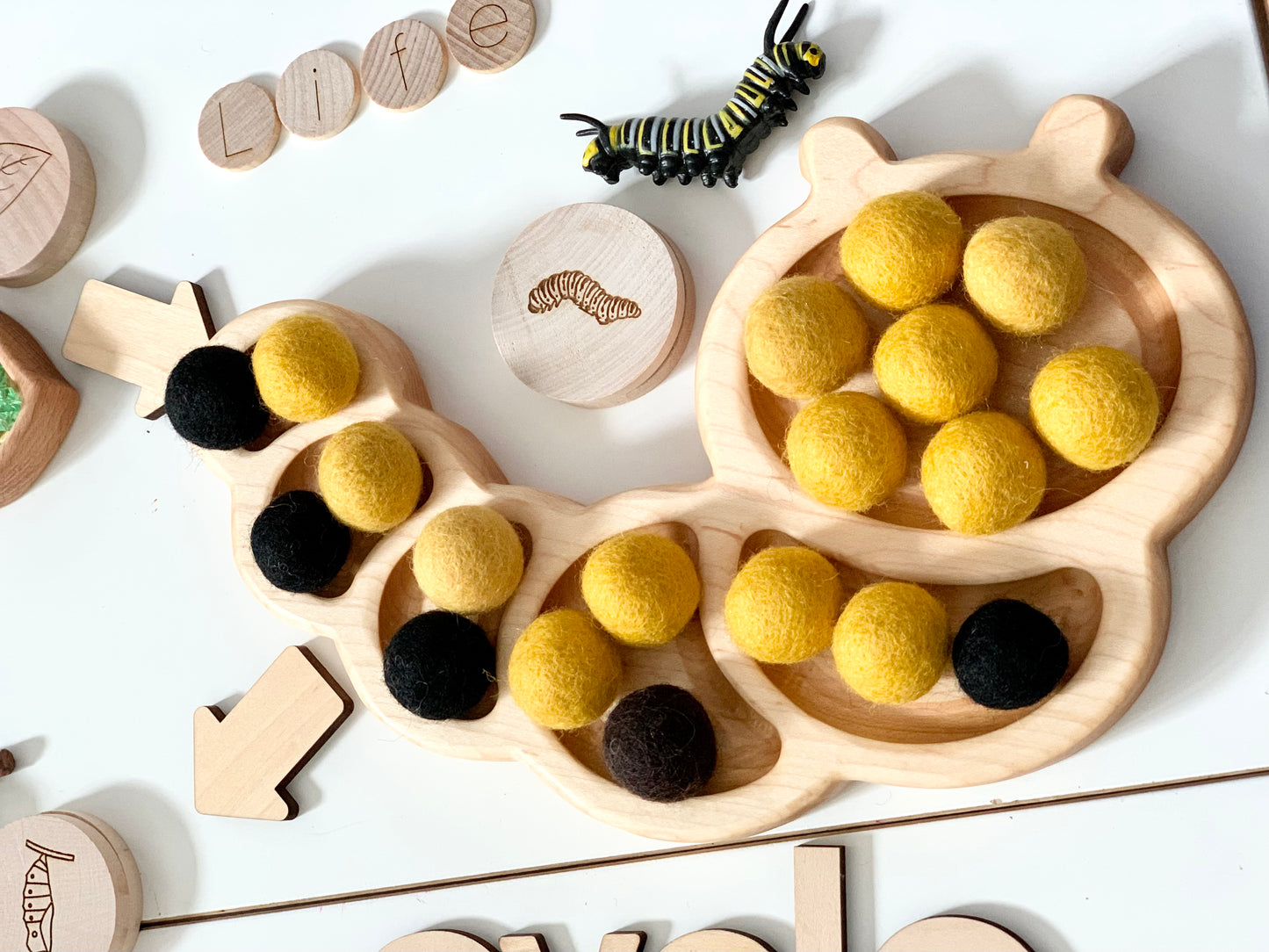 Caterpillar Plate / Sensory Tray