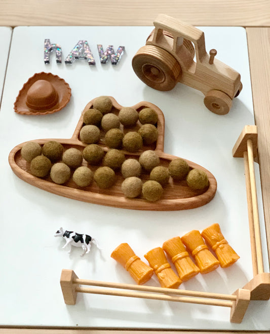 Cowboy Hat Plate / Sensory Tray