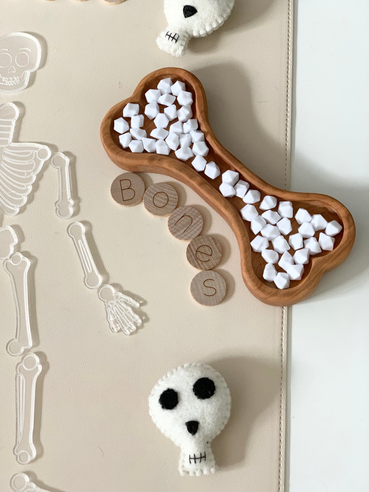 Bone Plate / Sensory Tray