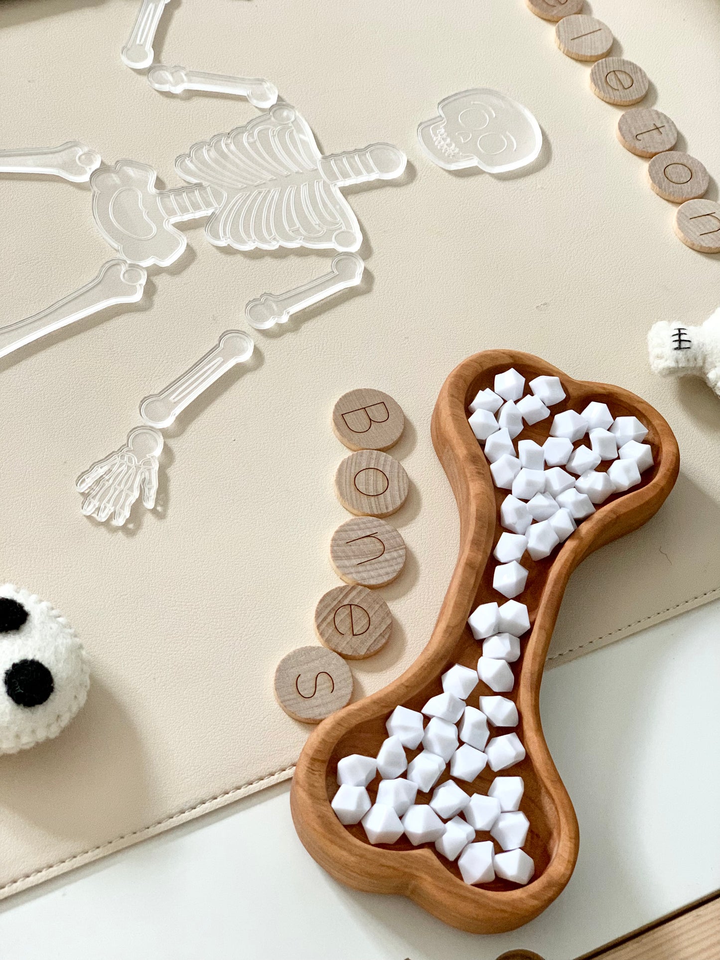 Bone Plate / Sensory Tray