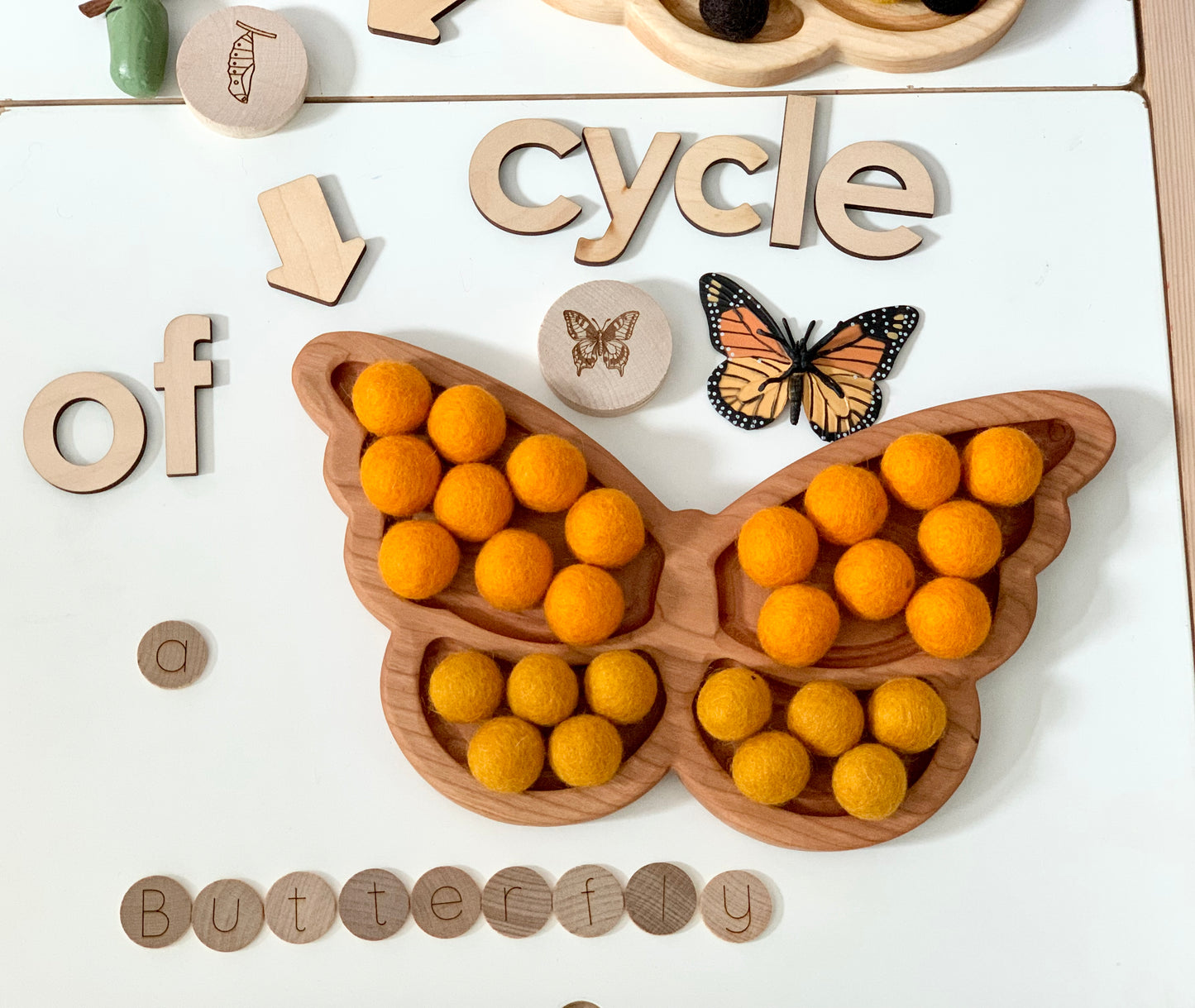 Butterfly Plate / Sensory Tray