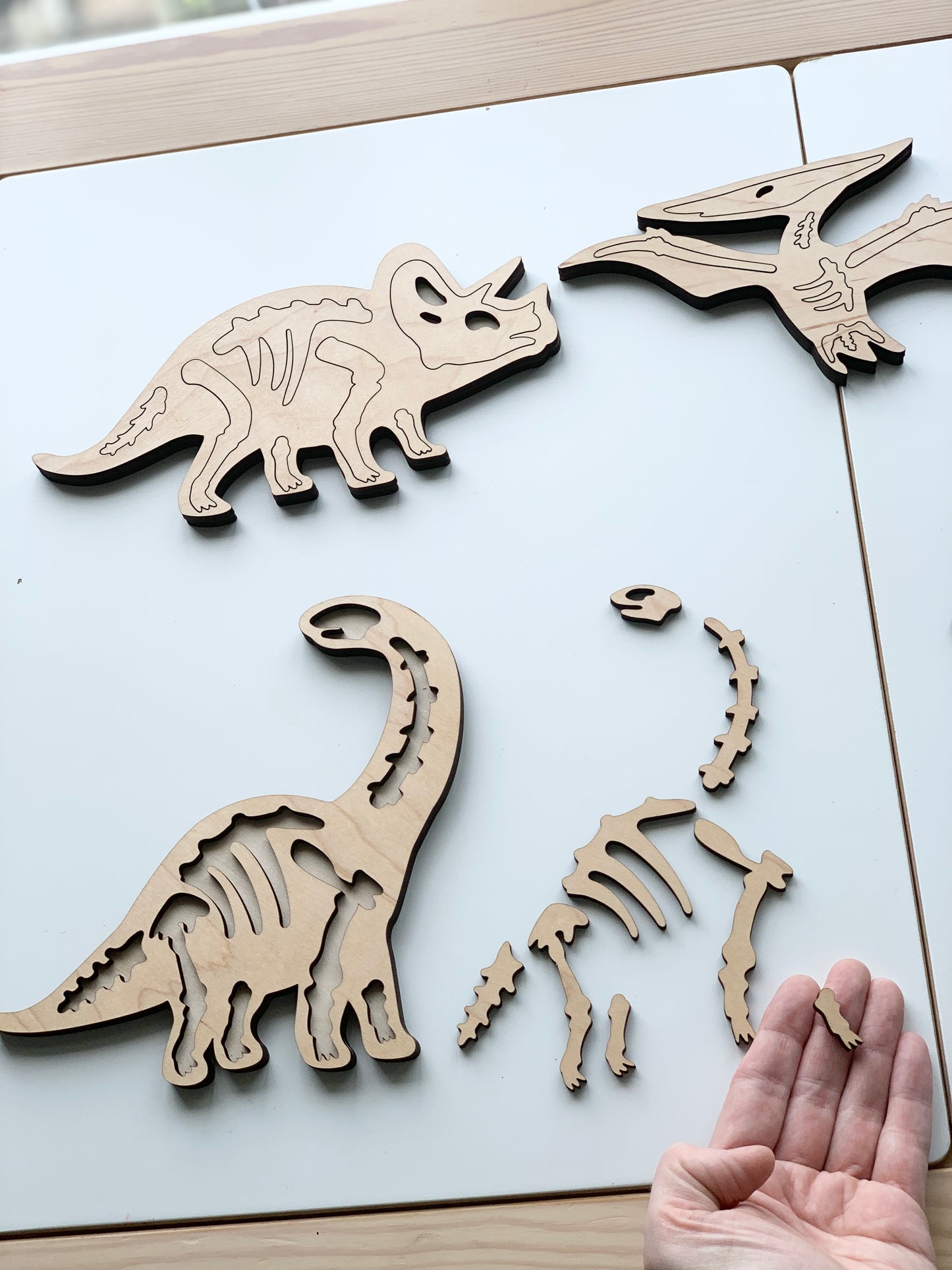 Dinosaur Skeleton/Bones Puzzles