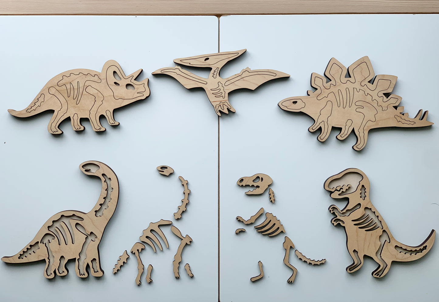 Dinosaur Skeleton/Bones Puzzles