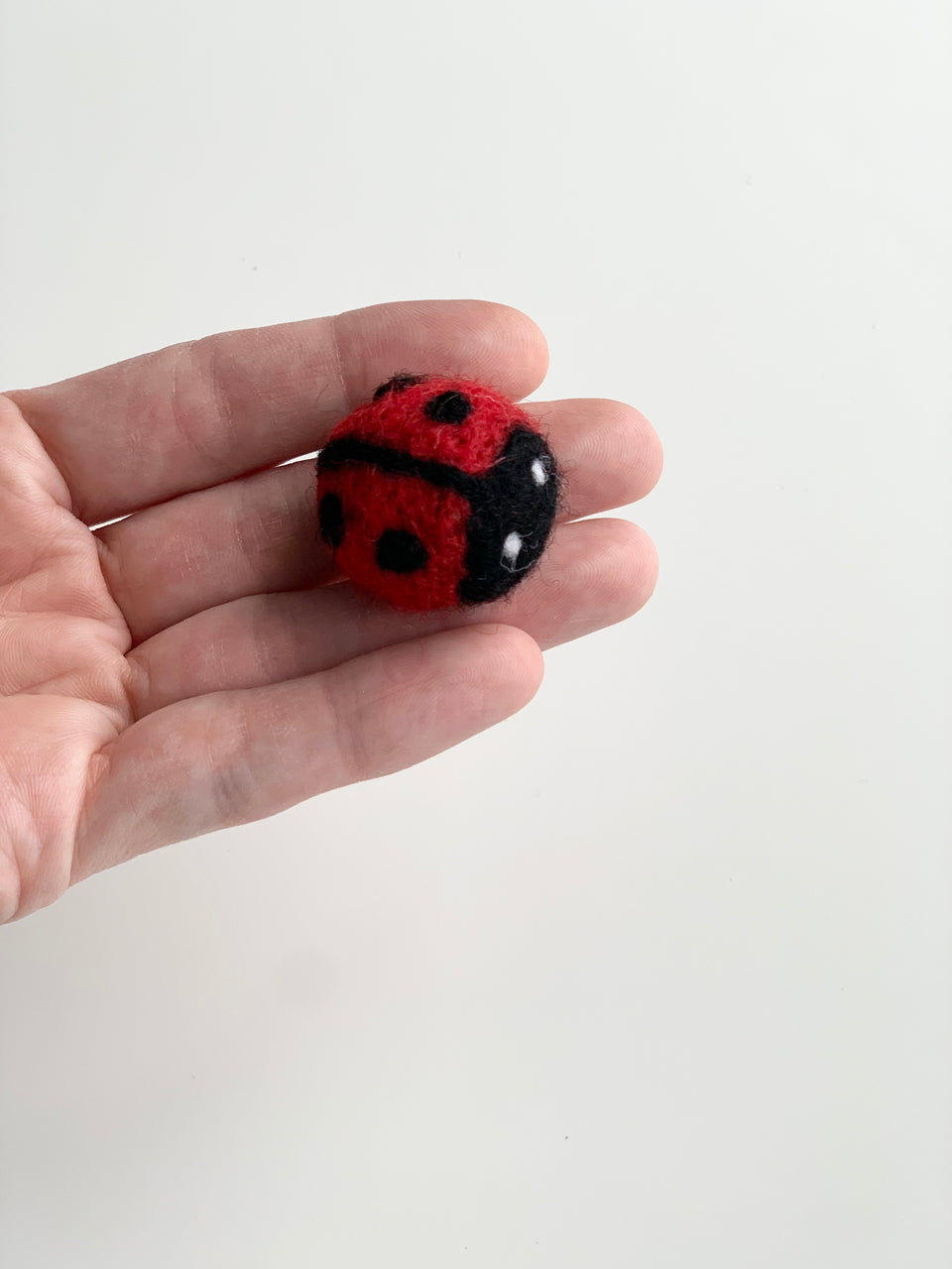 Hand holding small handmade red and black felt ladybug with white eyes on plain white background