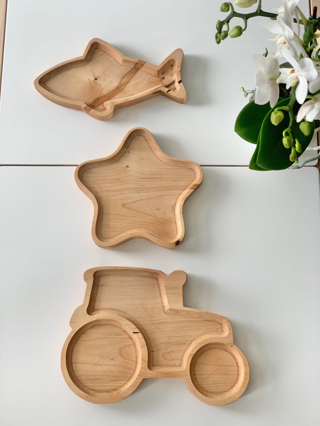 Natural wooden sensory trays shaped like fish, star, and tractor arranged on white surface near green plant