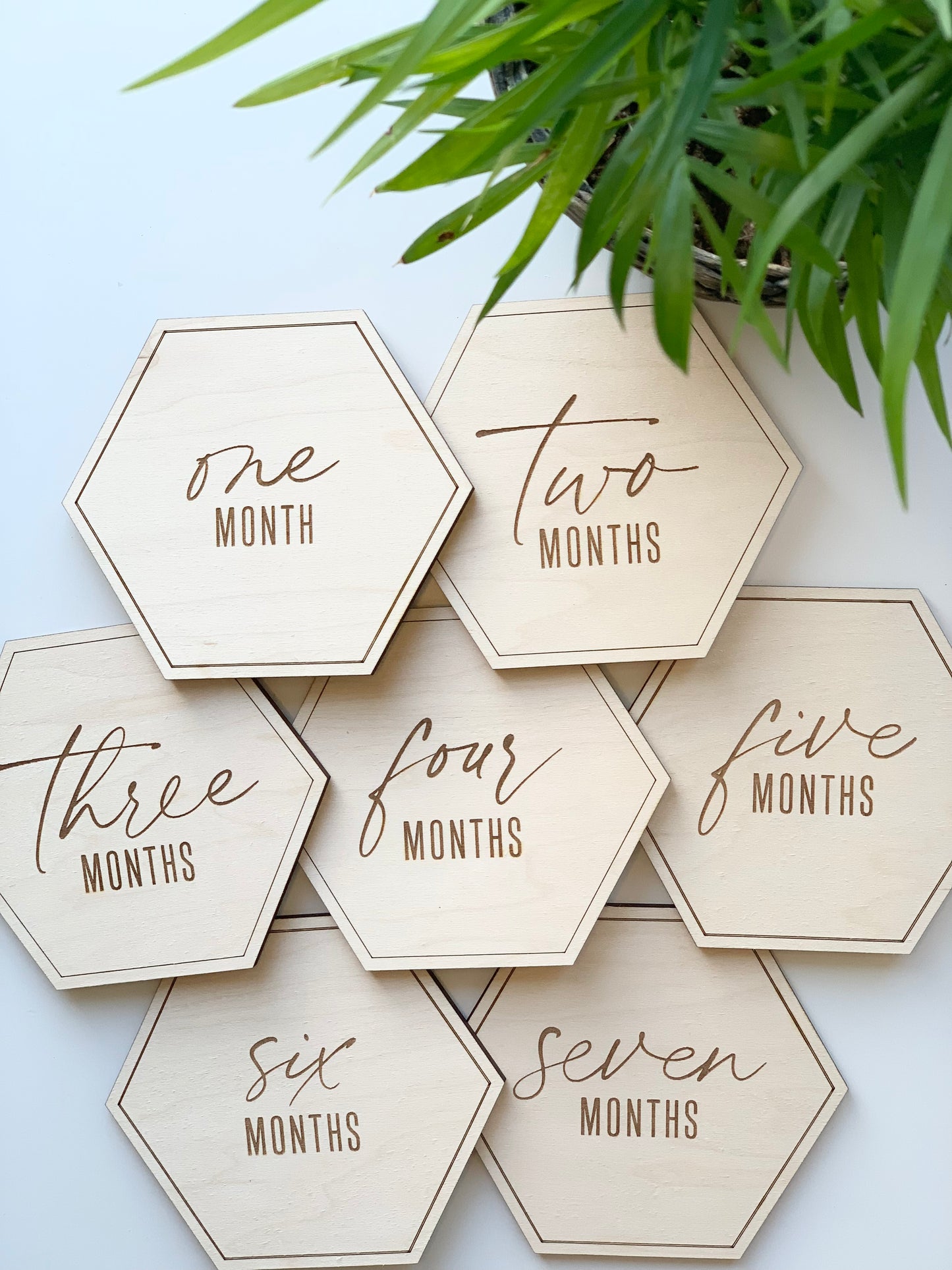 Monthly Milestone Hexagons