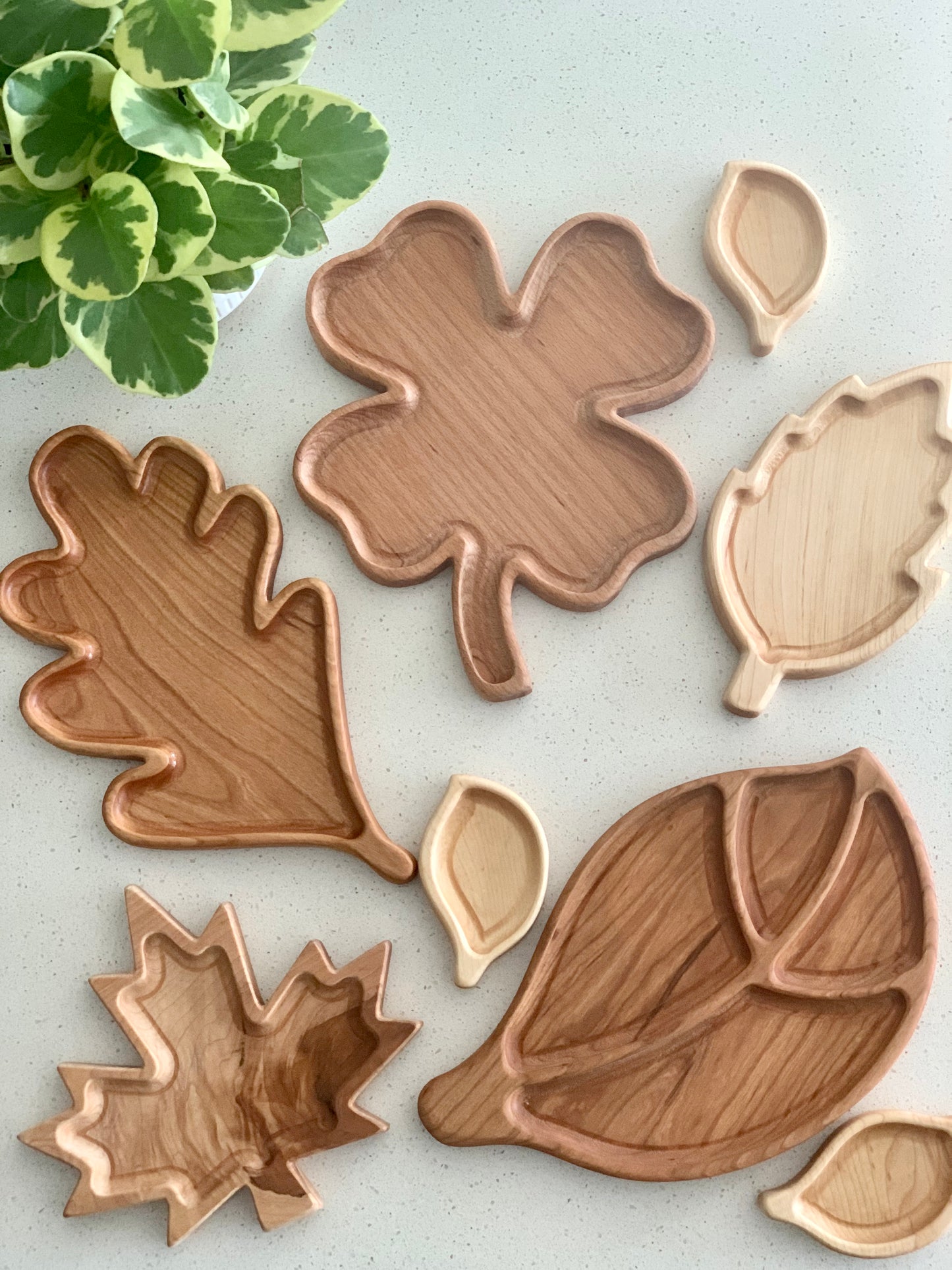 Oak Leaf Sensory Tray / Plate