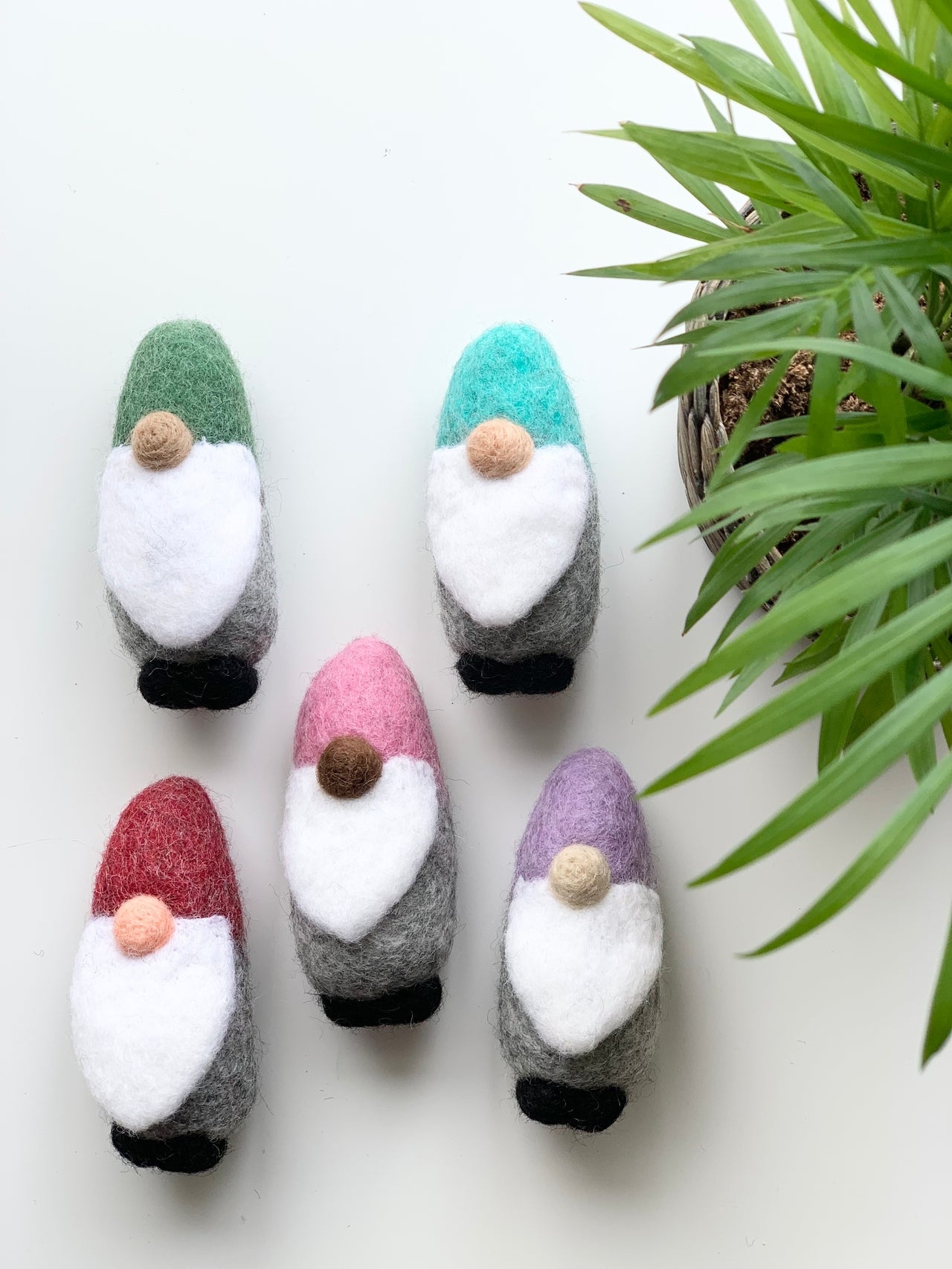 Five handmade felt gnomes in green, turquoise, pink, red, and purple hats with white beards on white background near green plant