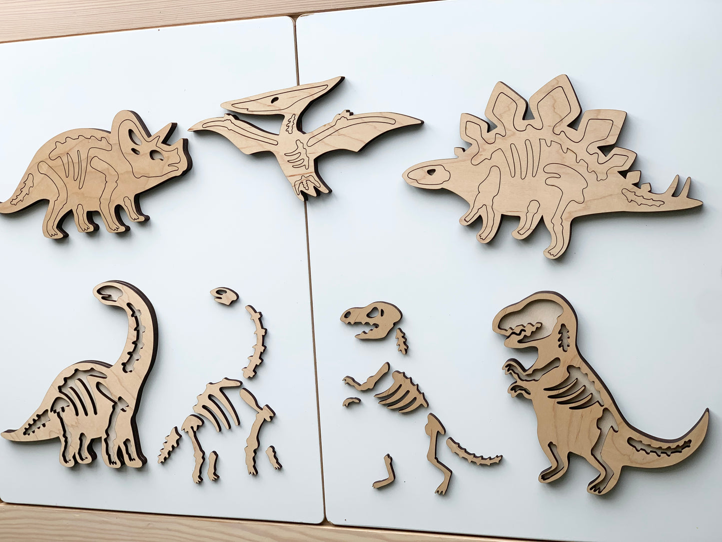 Dinosaur Skeleton/Bones Puzzles