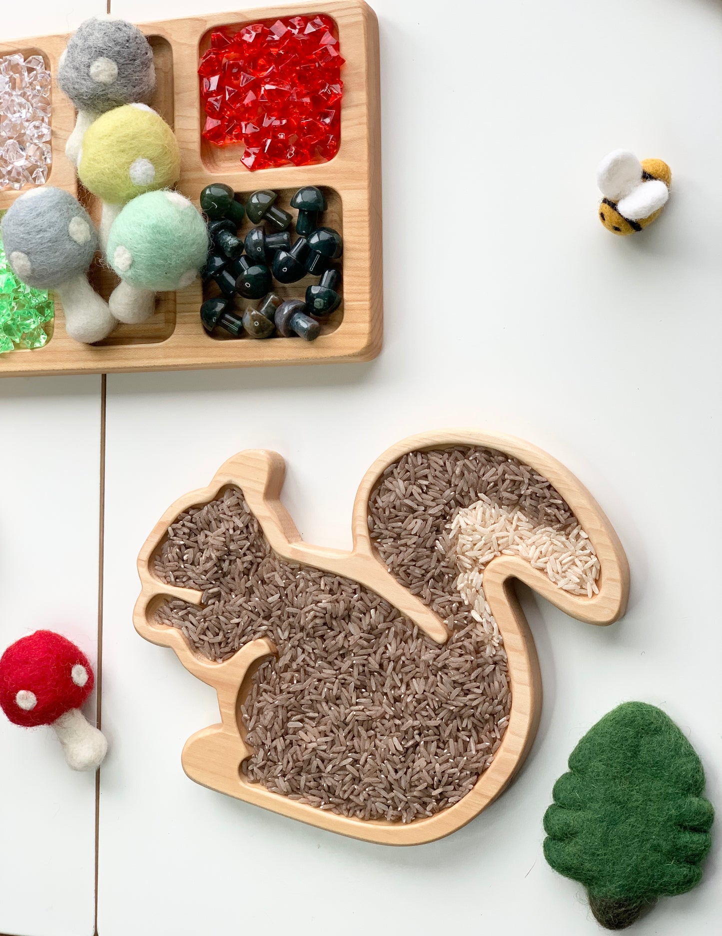 Squirrel Plate / Sensory Tray