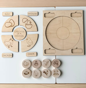 Wooden life cycle of a chicken puzzle with labeled pieces and matching memory game discs on white surface