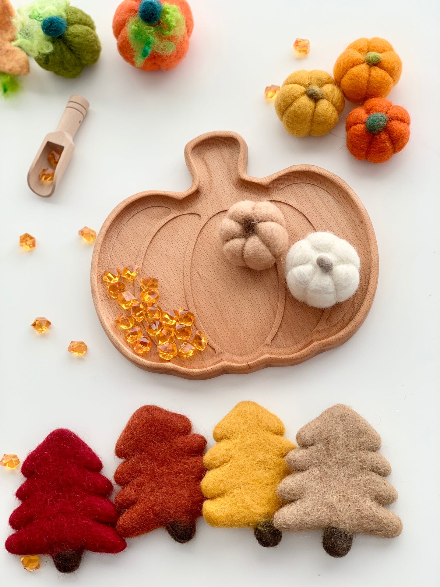 Pumpkin Plate / Sensory Tray