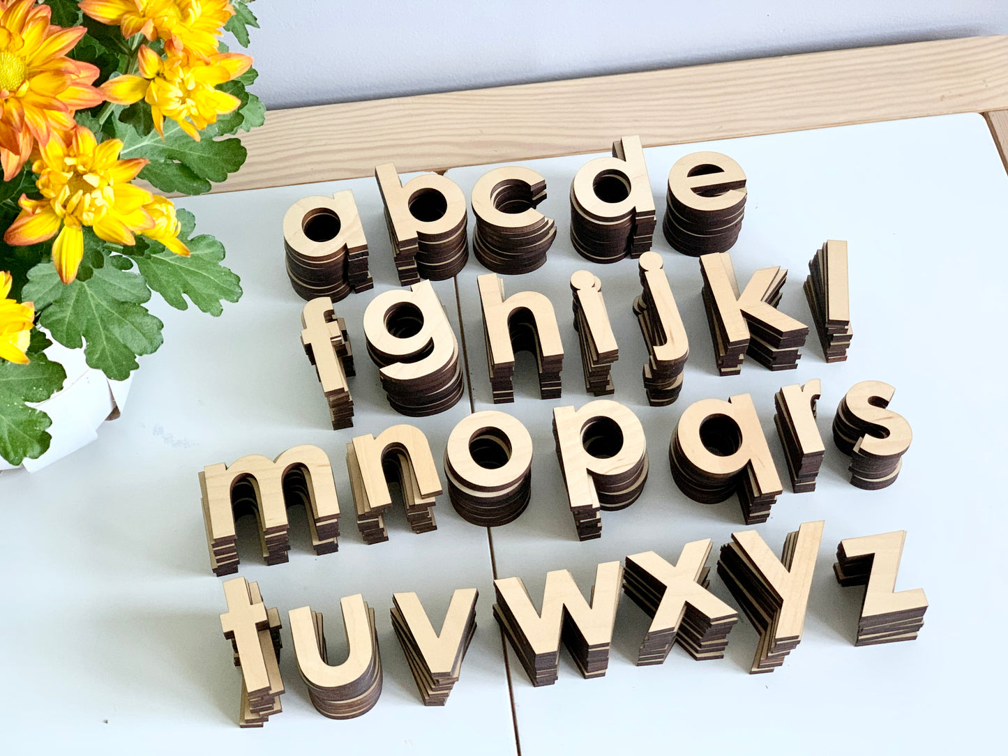 Wooden Lowercase Alphabet Set • Movable Alphabet Set Maple