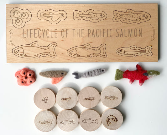 Salmon Life Cycle Memory Game