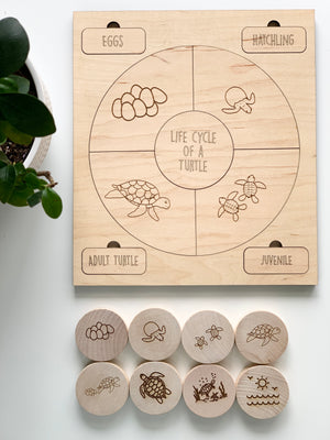 Wooden life cycle puzzle showing turtle stages with engraved pieces for eggs, hatchling, juvenile, and adult turtle on white surface