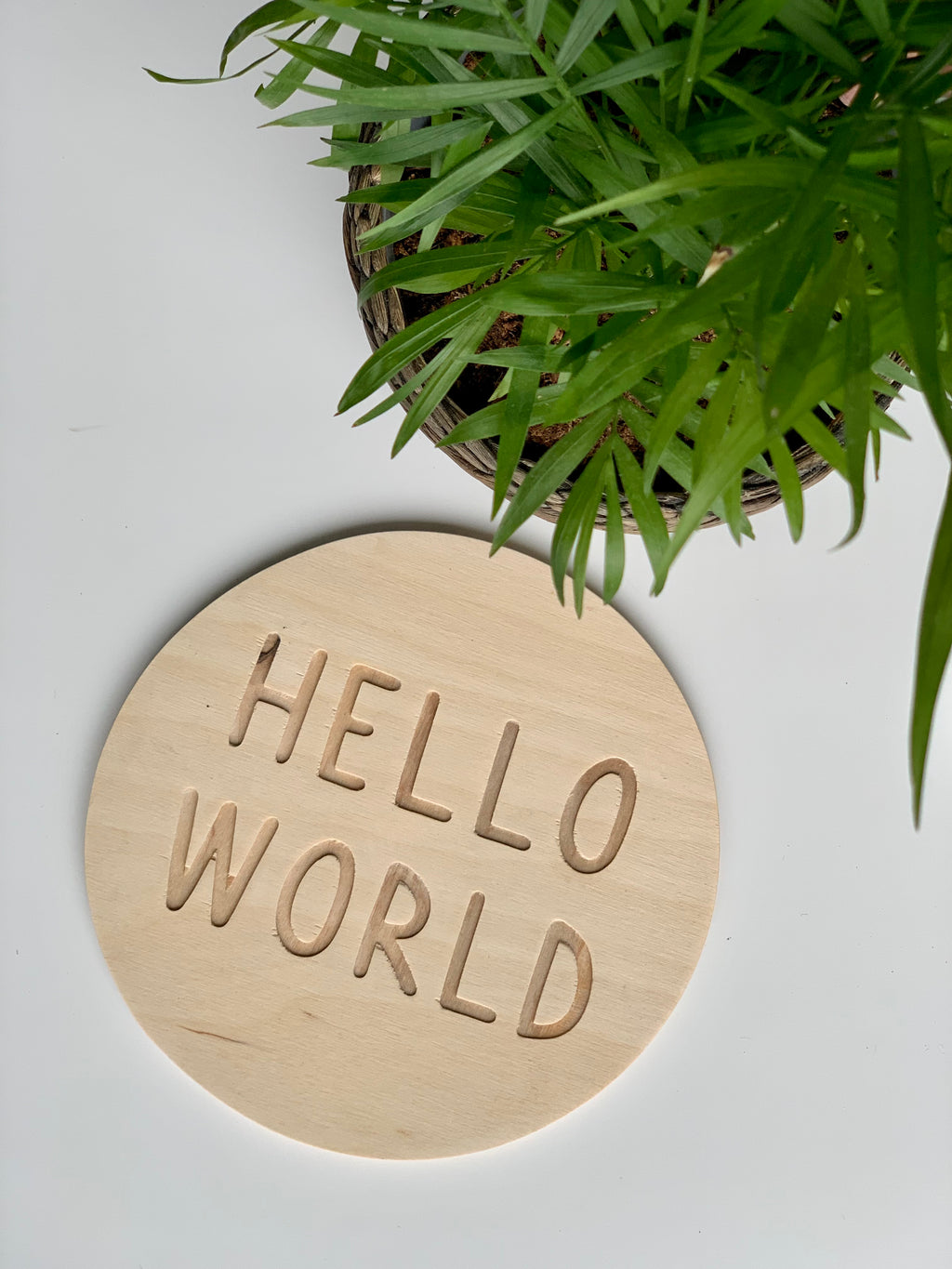 Round natural wooden disc with carved HELLO WORLD text beside green leafy plant on white surface