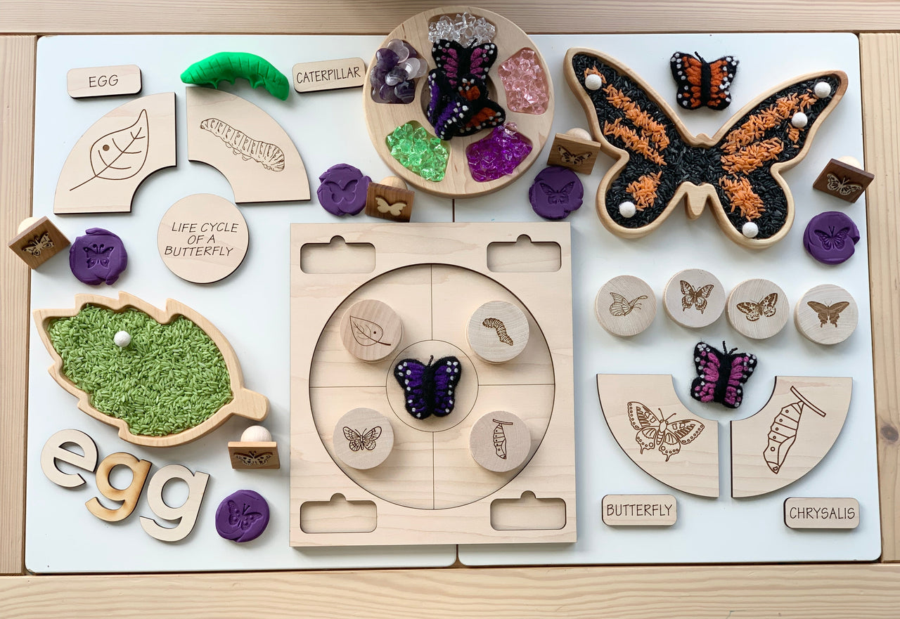 Educational wooden life cycle puzzle showing butterfly stages with labeled pieces and textured sensory elements on wood background