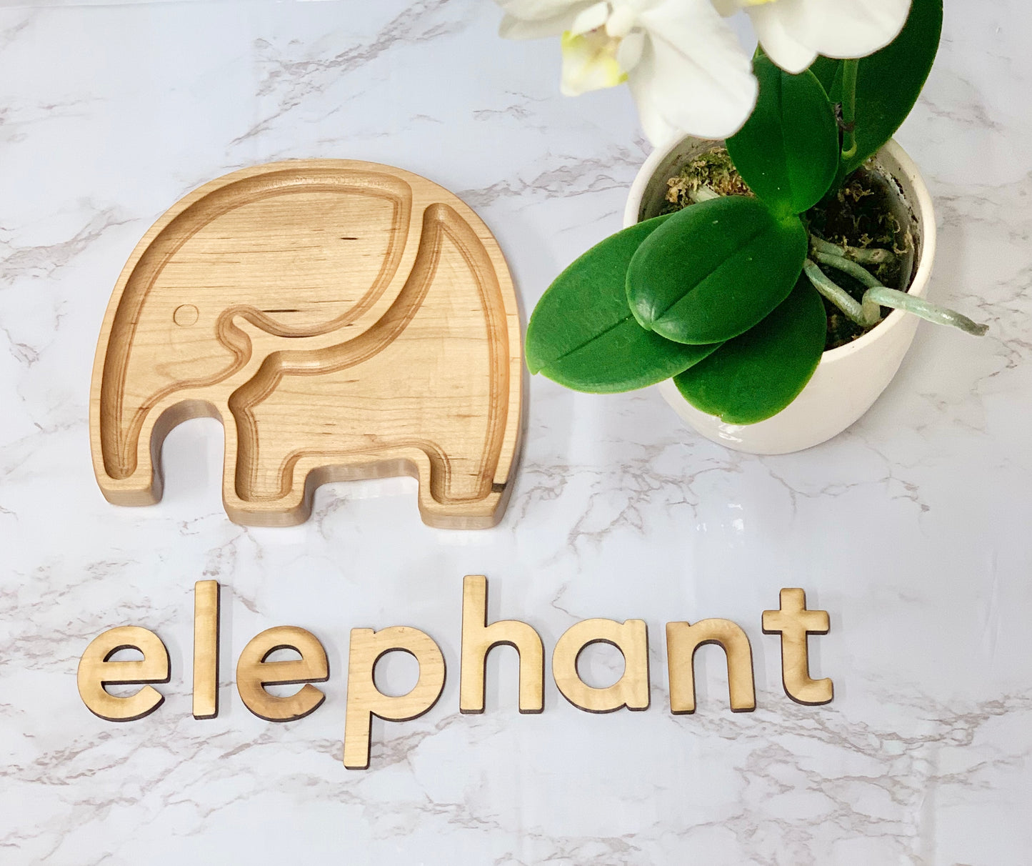 Elephant Plate / Sensory Tray