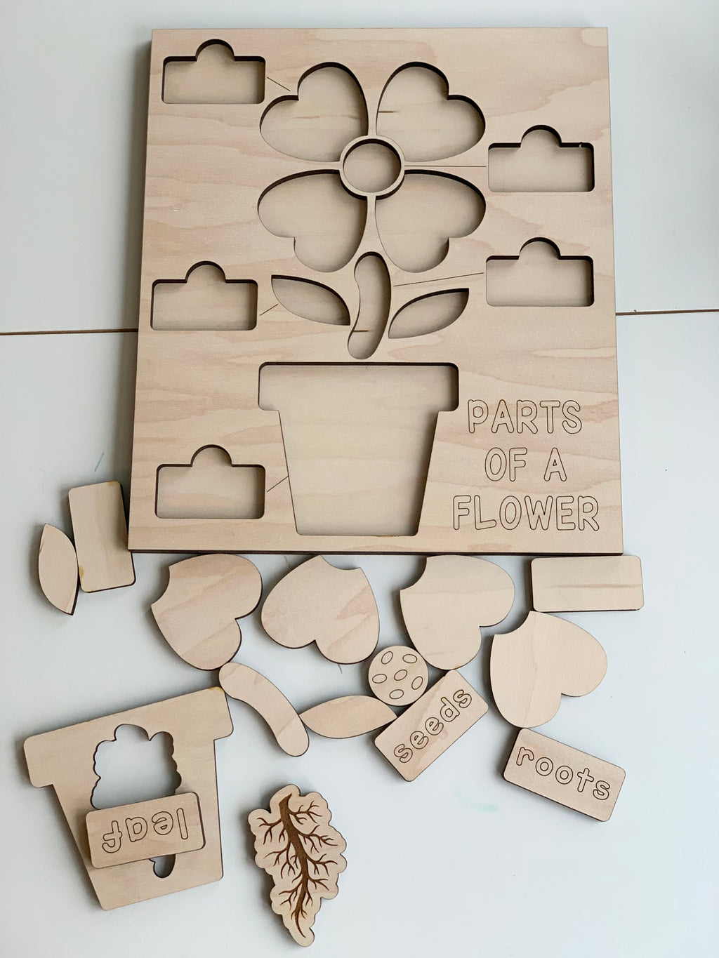 Natural wooden parts of a flower puzzle with engraved labels and cutouts arranged on white surface
