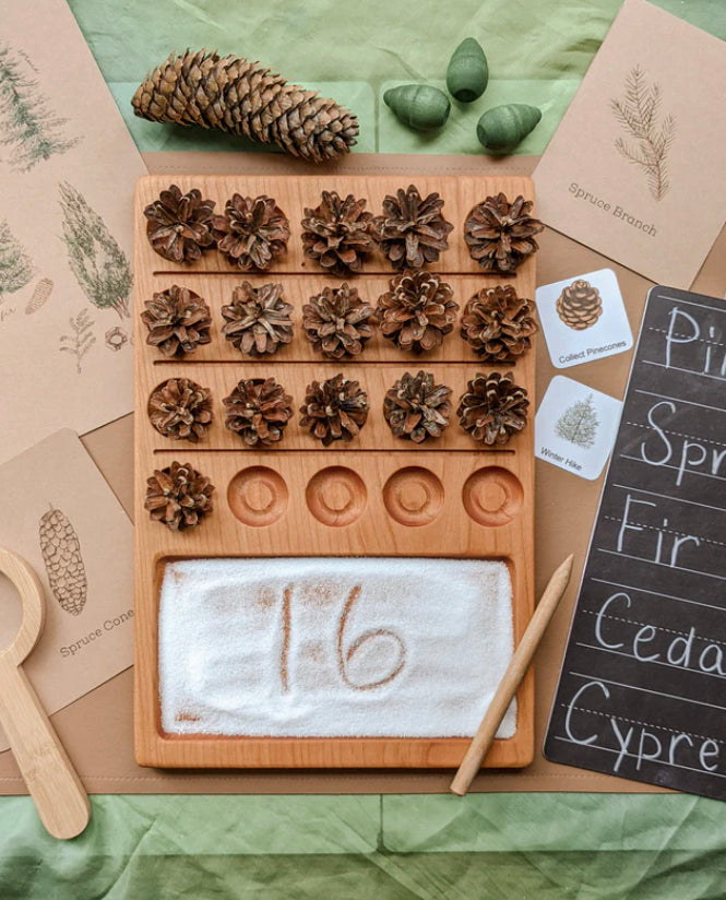 Twenty Frame Sensory Tray