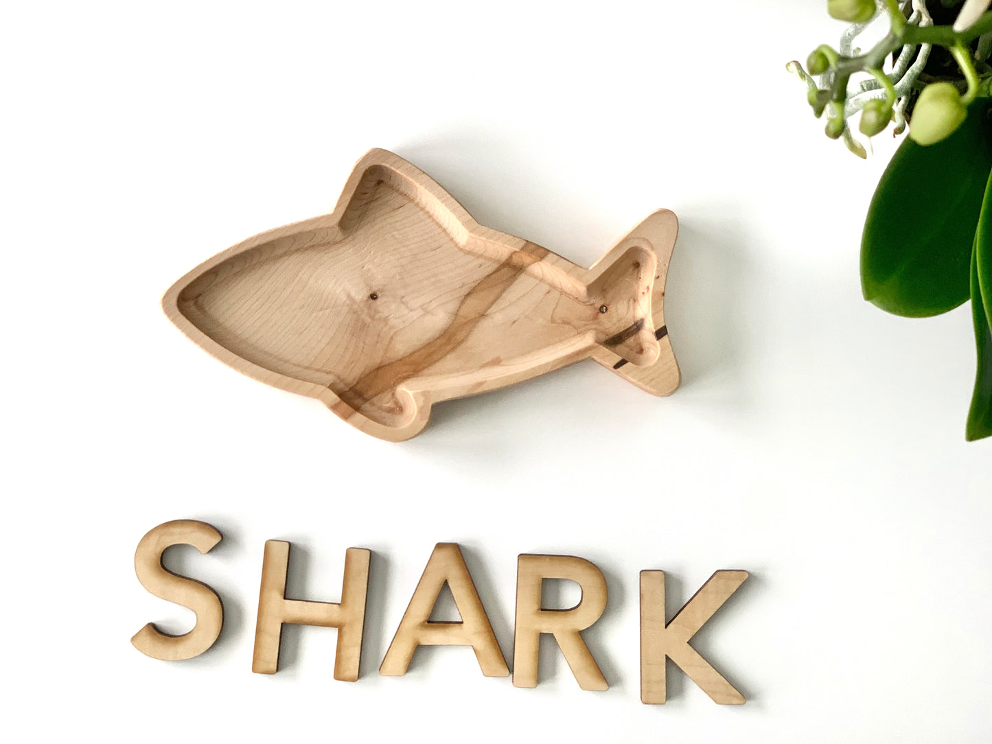 Shark Plate / Sensory Tray