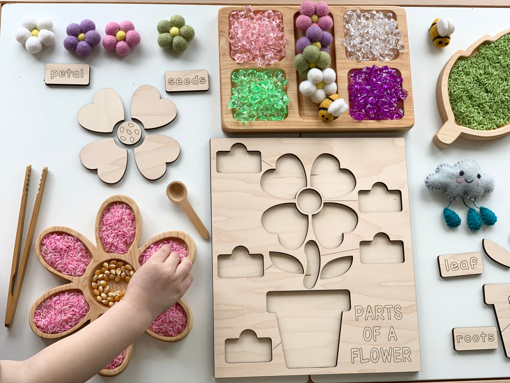 Wooden educational puzzle of flower parts with colorful textured pieces and labels on white surface with child’s hand assembling