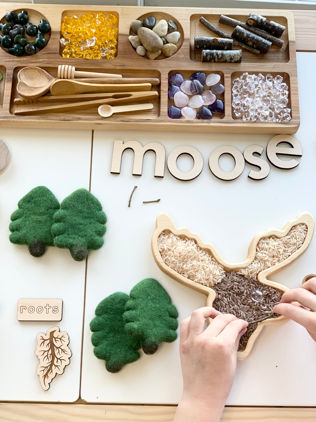 Wooden sensory tray shaped like a moose filled with rice and surrounded by natural sensory play items on table