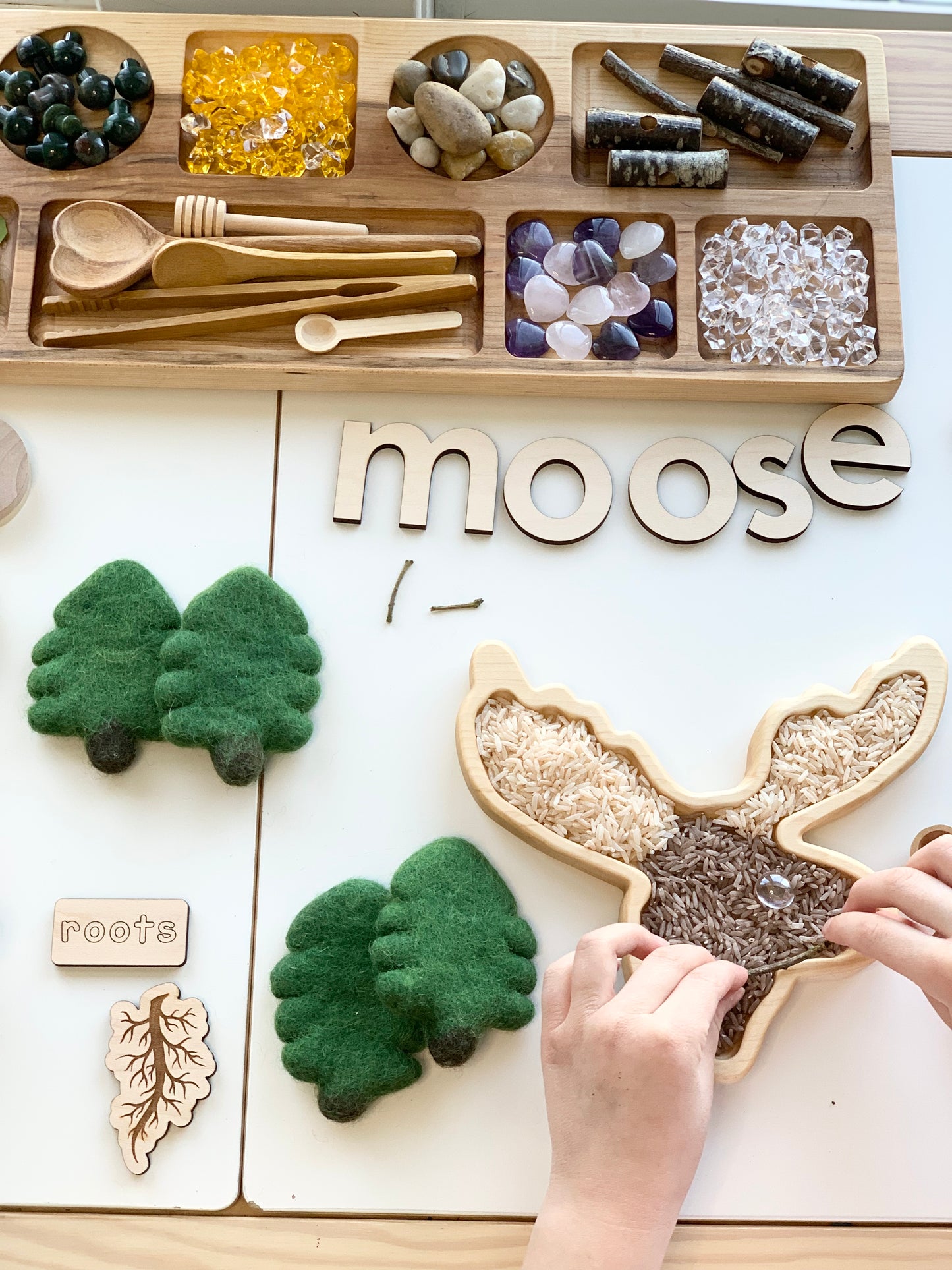 Moose Plate / Sensory Tray