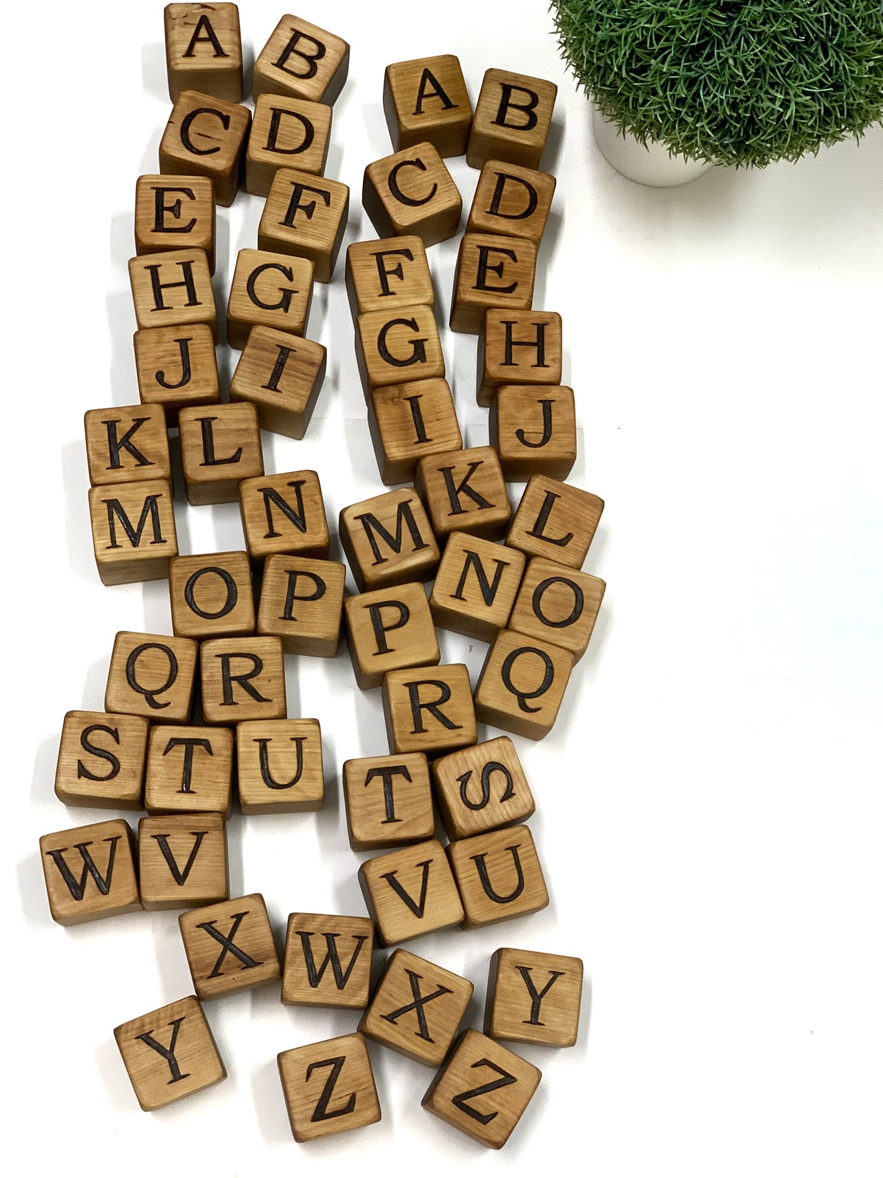 Natural 2-inch wooden alphabet blocks with engraved capital letters scattered on white background near small potted green plant